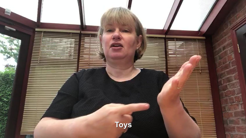 Signs Using Fingerspelling: T and V